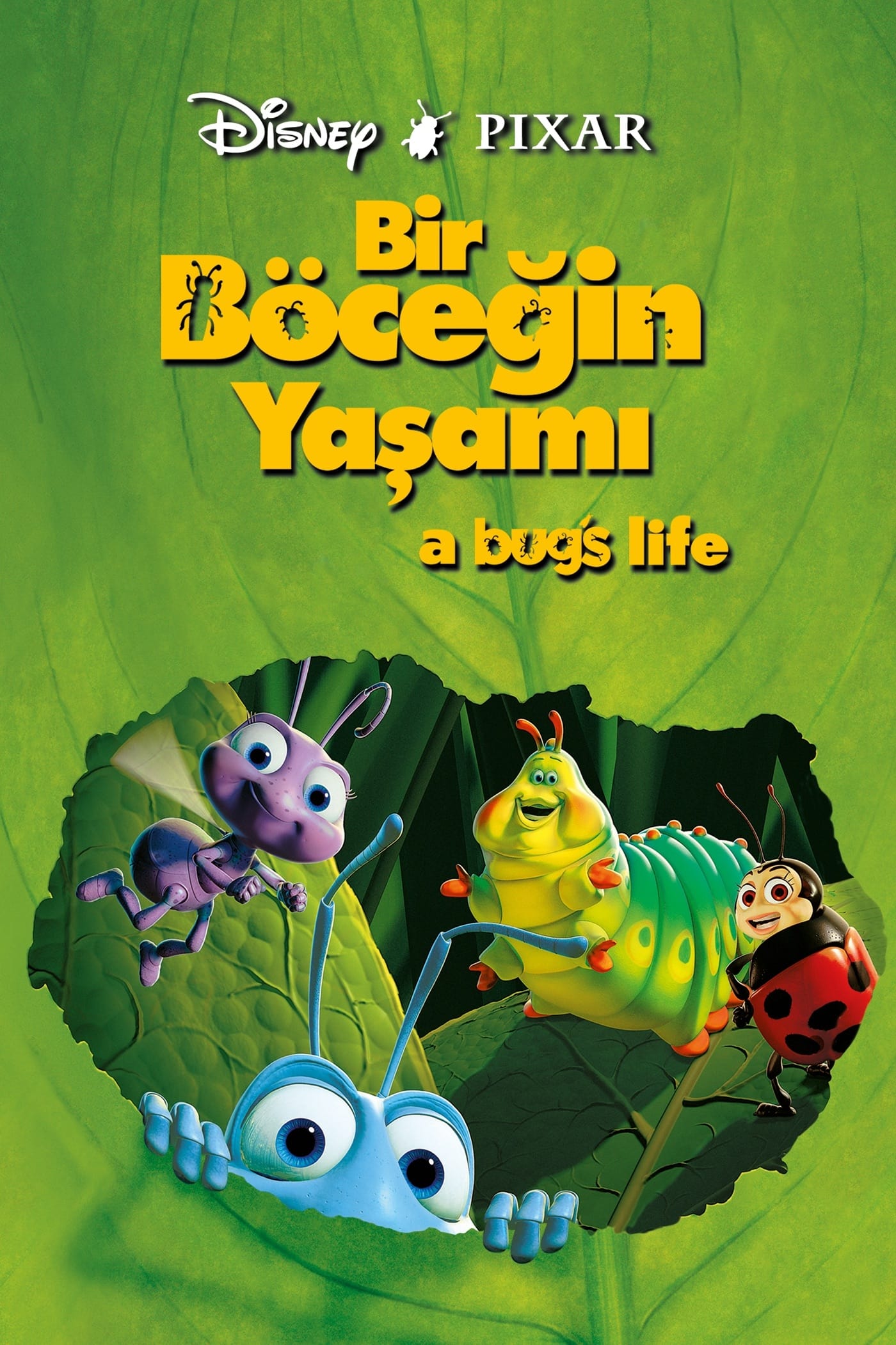 Bir Böceğin Yaşamı