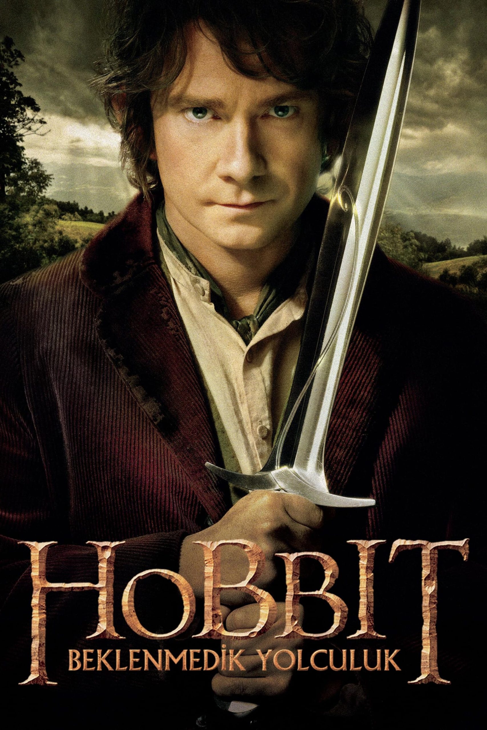 Hobbit Beklenmedik Yolculuk