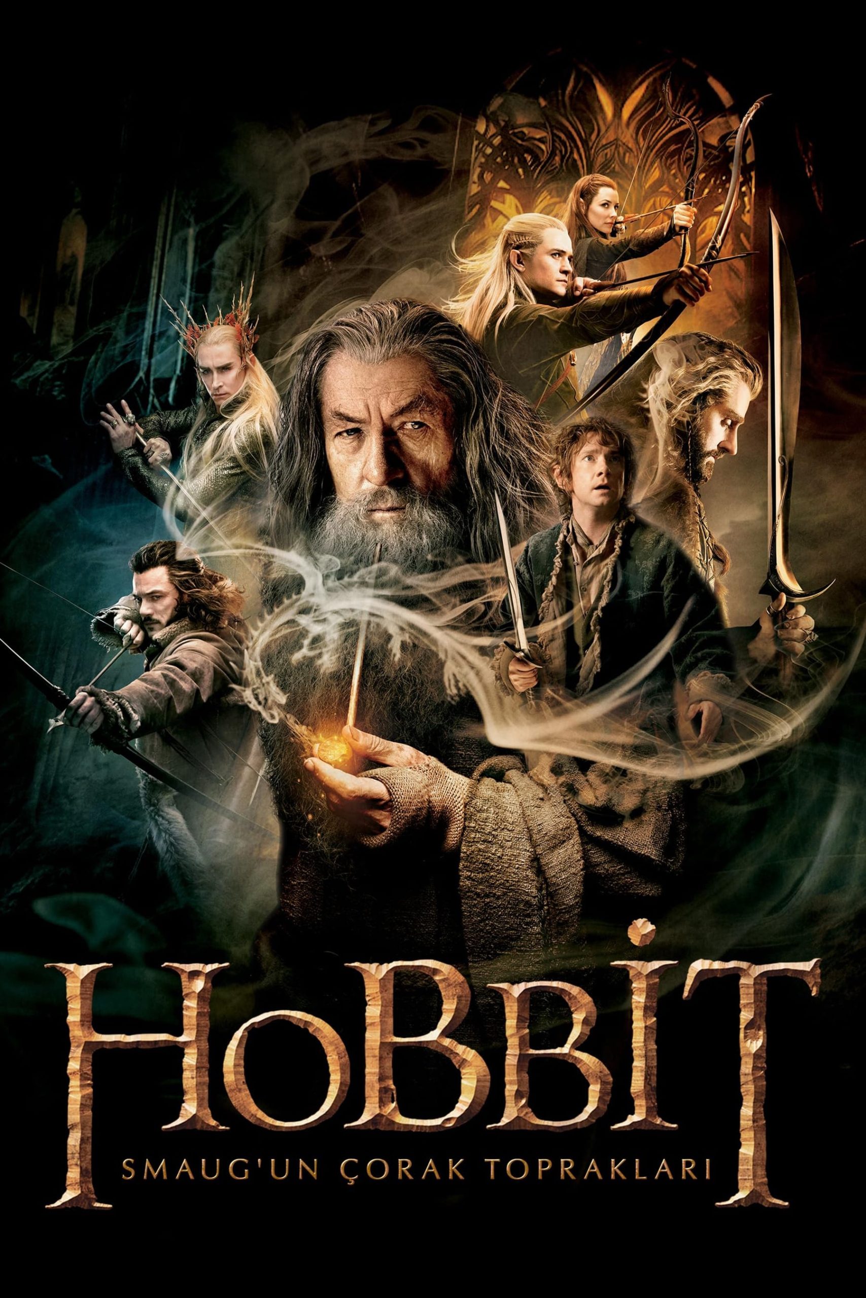 Hobbit Smaugun Çorak Toprakları