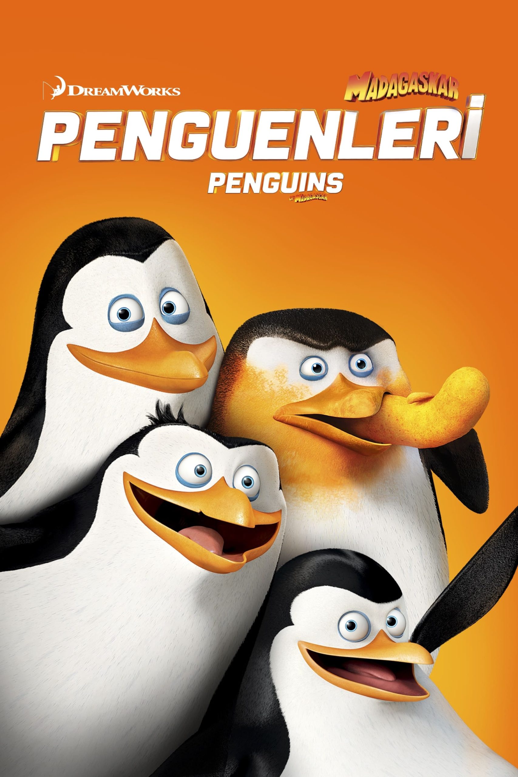 Madagaskar Penguenleri