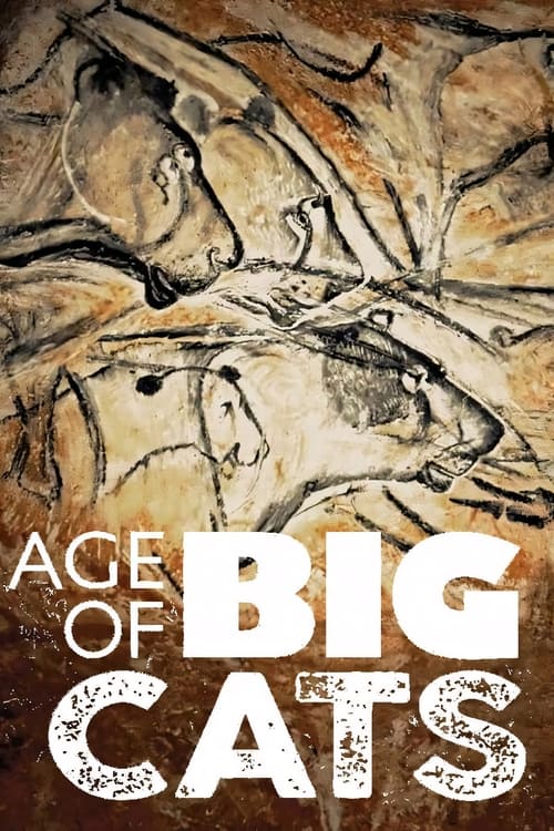 age_of_big_cats