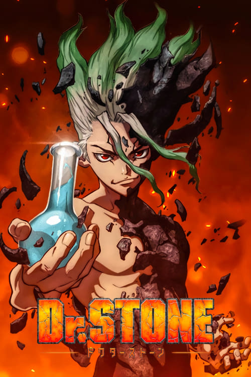 dr._stone