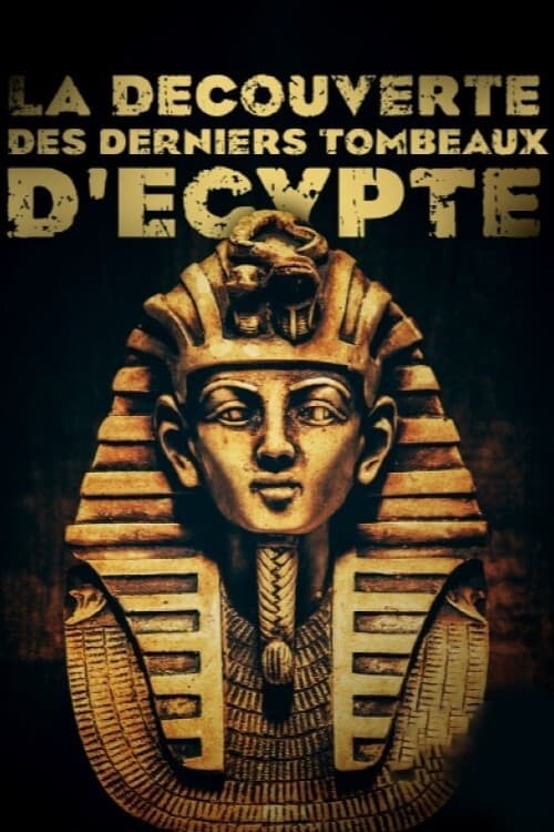 la_découverte_des_derniers_tombeaux_degypte