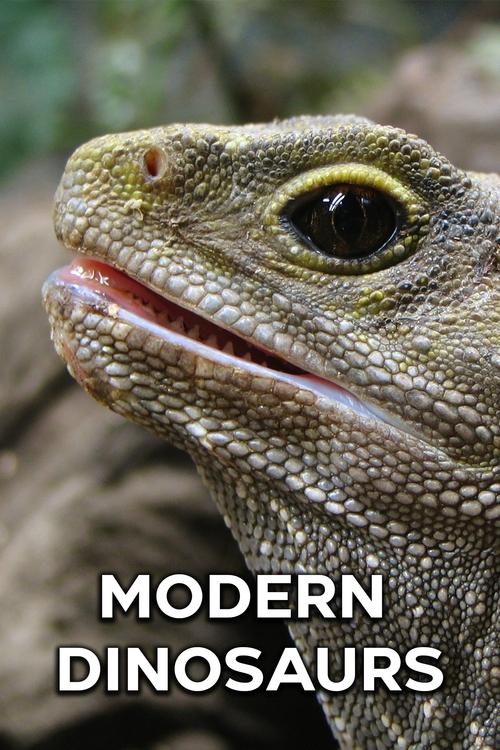 modern_dinosaurs