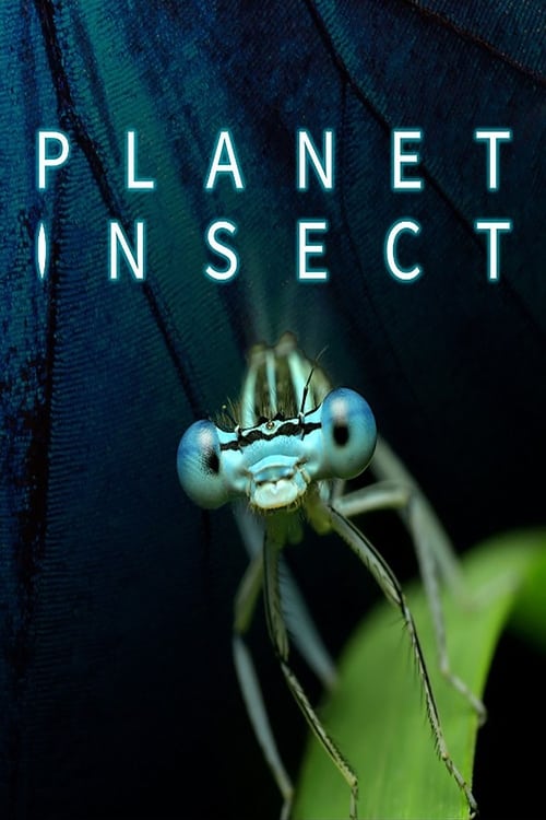 planet_insect