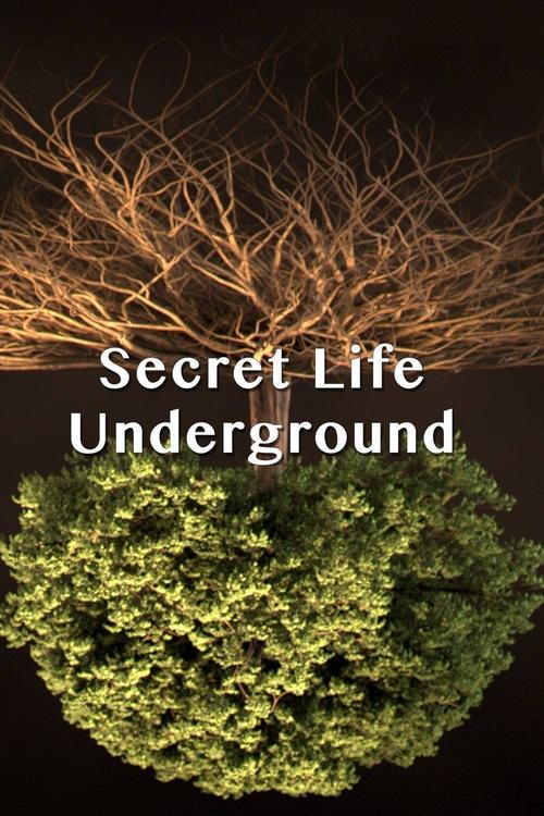 secret_life_underground