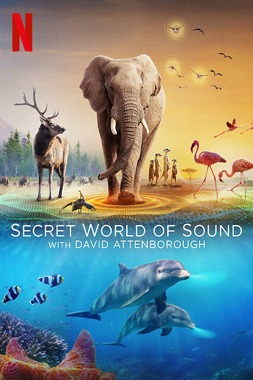 secret_world_of_sound