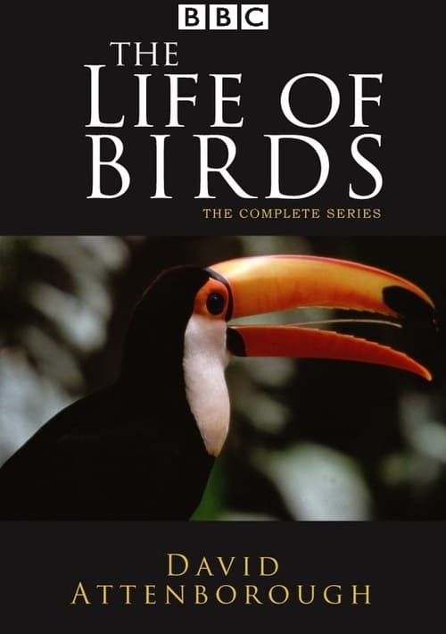 the_life_of_birds