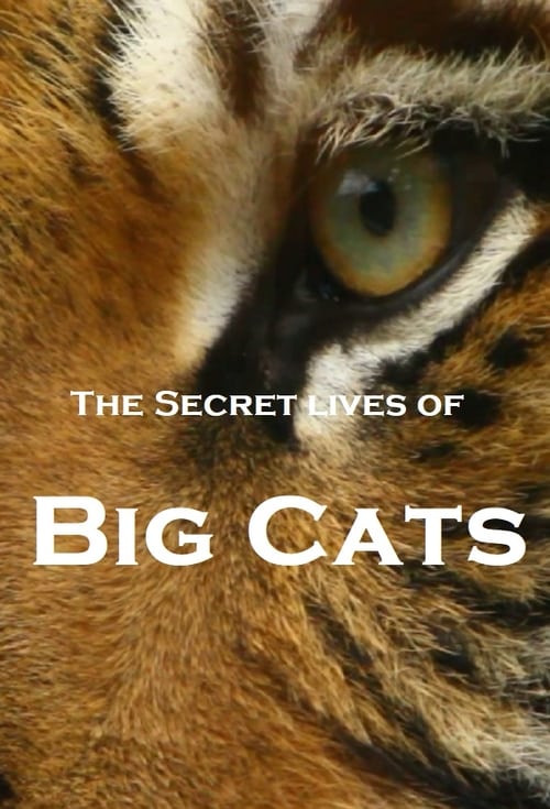 the_secret_lives_of_big_cats