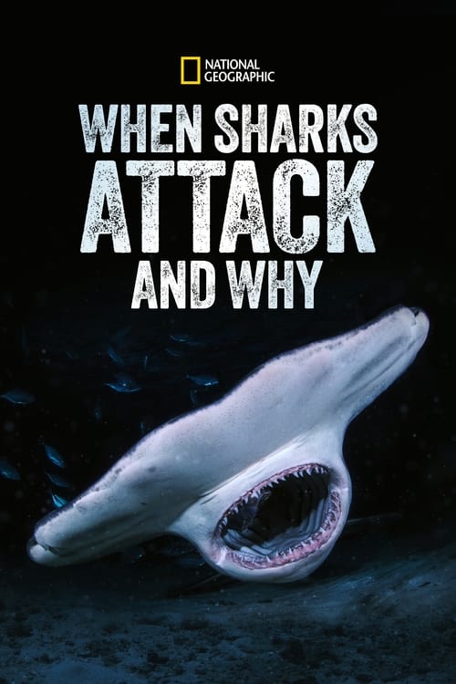 when_sharks_attack..._and_why