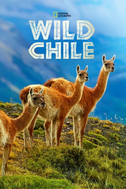 wild_chile