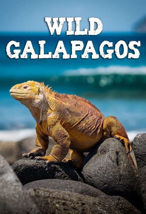 wild_galápagos