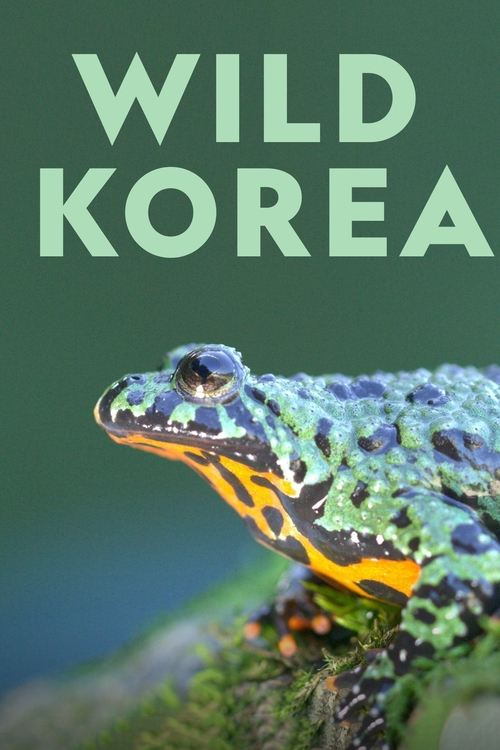 wild_korea